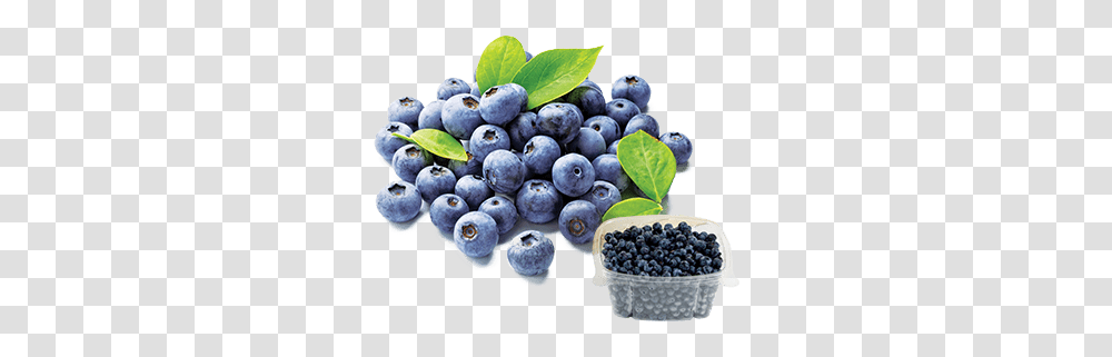 Blueberryfest 2020 Longo's Blueberry 125g, Fruit, Plant, Food Transparent Png