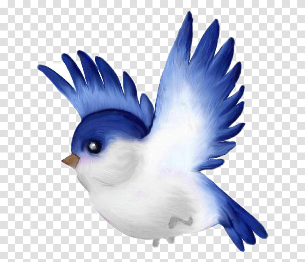 Bluebird Clip Art Download Full Size Clipart Cute Bird Cartoon, Jay, Animal, Blue Jay, Flying Transparent Png