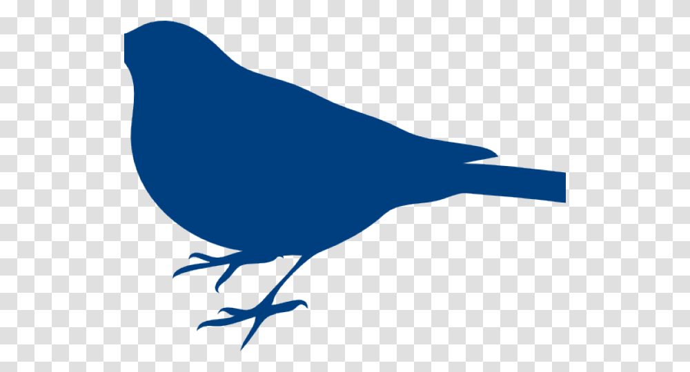 Bluebird Clipart 5 Bird Bird Silhouette Clip Art, Animal, Amphibian, Wildlife, Crow Transparent Png