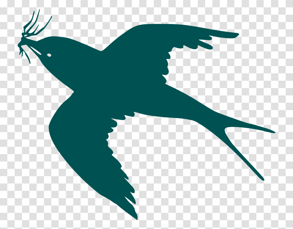Bluebird Clipart Cartoon Black Bird Flying, Star Symbol, Animal, Shark, Sea Life Transparent Png