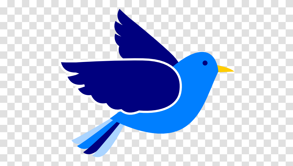 Bluebird Clipart, Jay, Animal, Blue Jay Transparent Png