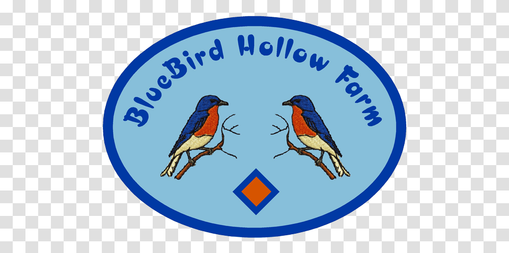 Bluebird Conservation Lafayette Nonprofit Organization Bird, Animal, Jay, Blue Jay, Symbol Transparent Png