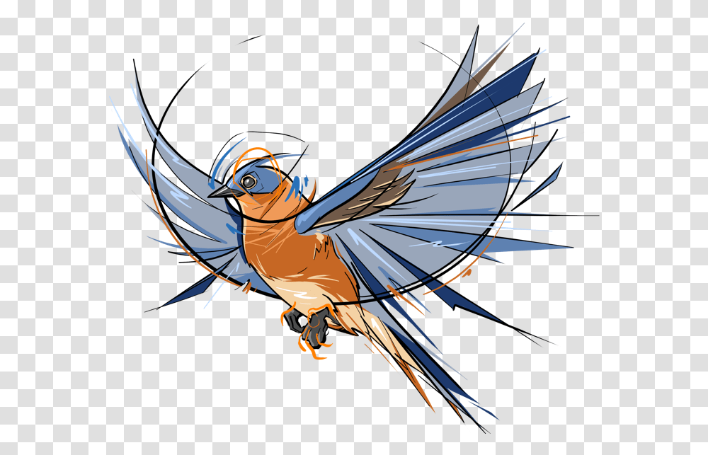 Bluebird Designs Themes Templates And Cool Blue Bird Drawing, Jay, Animal, Blue Jay, Helmet Transparent Png