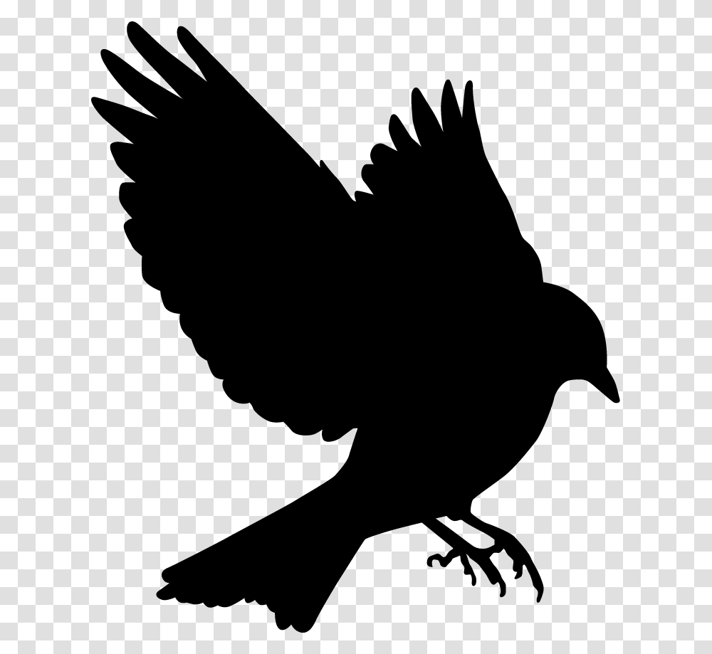 Bluebird Silhouette At Getdrawings Blue Bird Silhouette Flying, Animal, Blackbird, Agelaius, Person Transparent Png