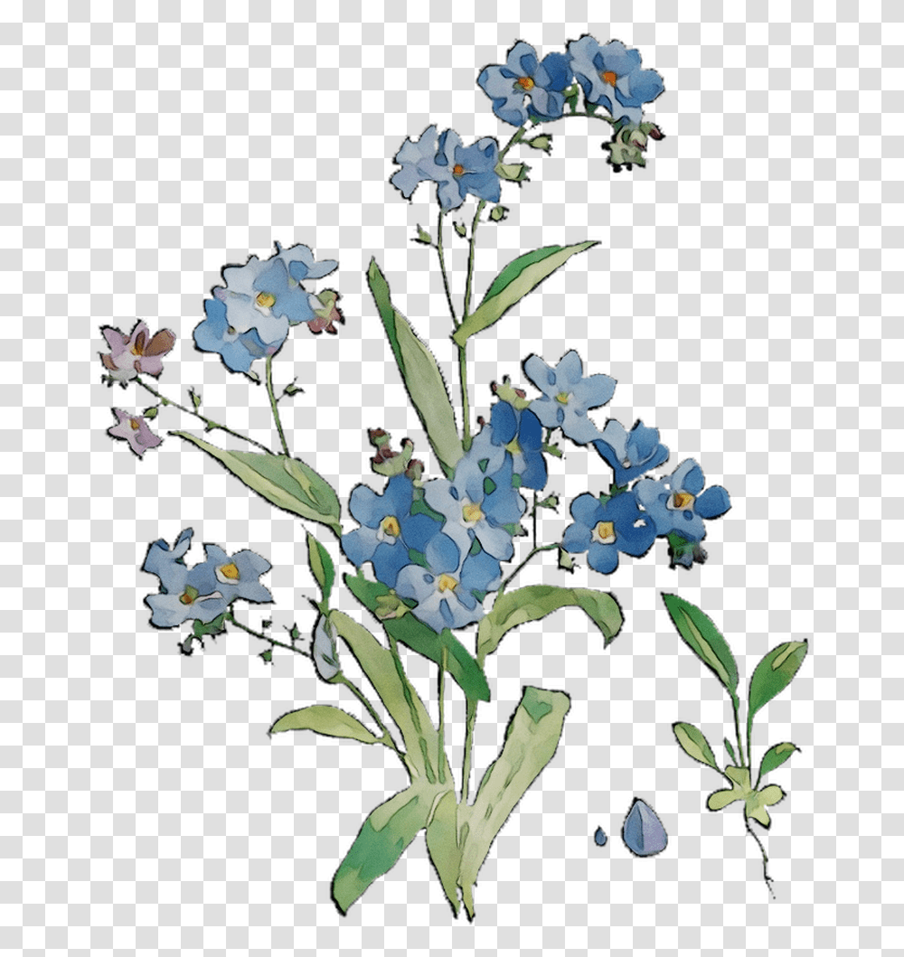 Bluebonnet Grasses Flowers Scorpion Cut Free Hd Image Alpine Forget Me Not, Plant, Blossom, Flower Arrangement, Acanthaceae Transparent Png