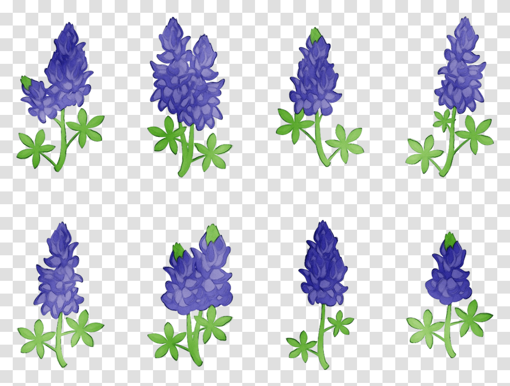 Bluebonnet Purple Lavender Cut Flowers Tree Lupin, Plant, Blossom, Iris, Geranium Transparent Png