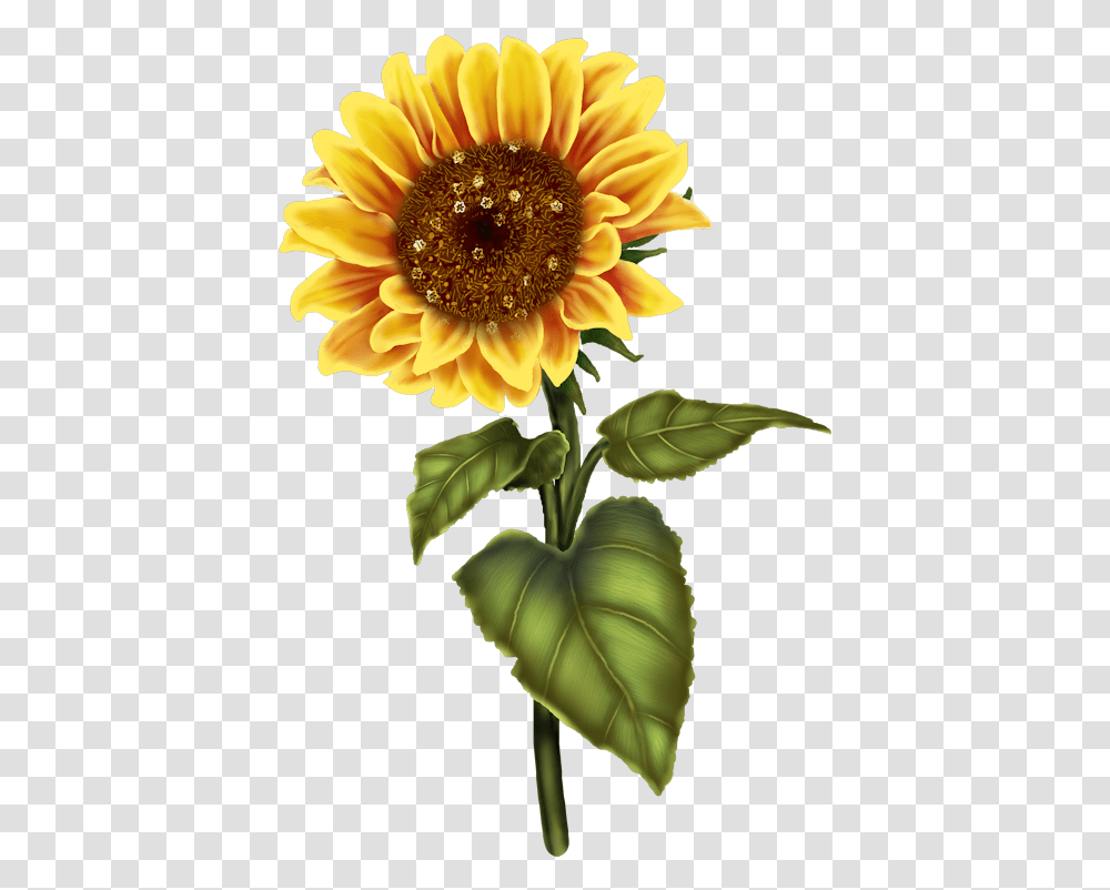 Bluebonnet Vector Clipart Never Ruin A Good Day With A Bad Yesterday, Plant, Flower, Blossom, Sunflower Transparent Png