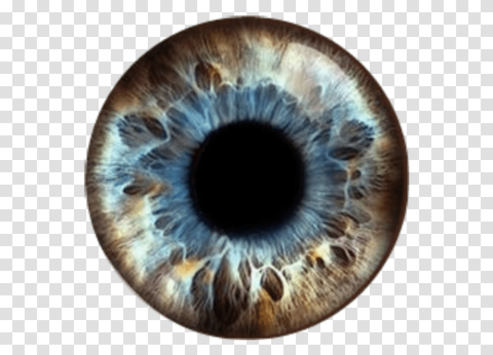 Bluebrown Eyes Pupils Contacts Eyeballs Human Eye Close Up, Astronomy, Outer Space, Universe, Photography Transparent Png