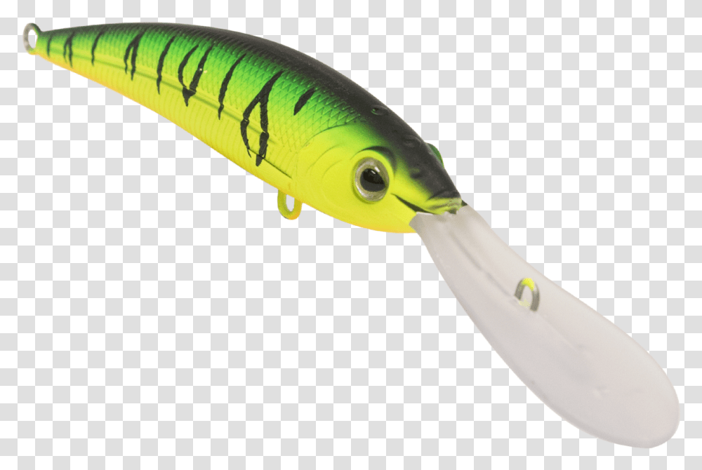 Bluehead, Fishing Lure, Bait Transparent Png