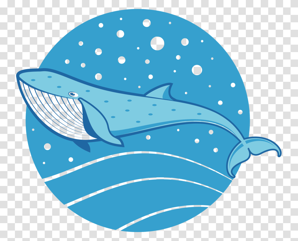 Bluemarine Biologywhales Dolphins And Porpoises, Sea Life, Animal, Outdoors, Clam Transparent Png