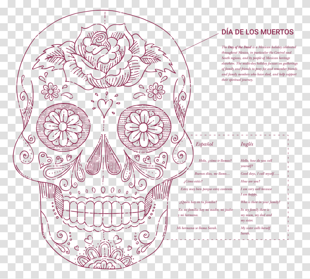Blueprint Information Modern Foreign Language Skull, Poster, Advertisement Transparent Png