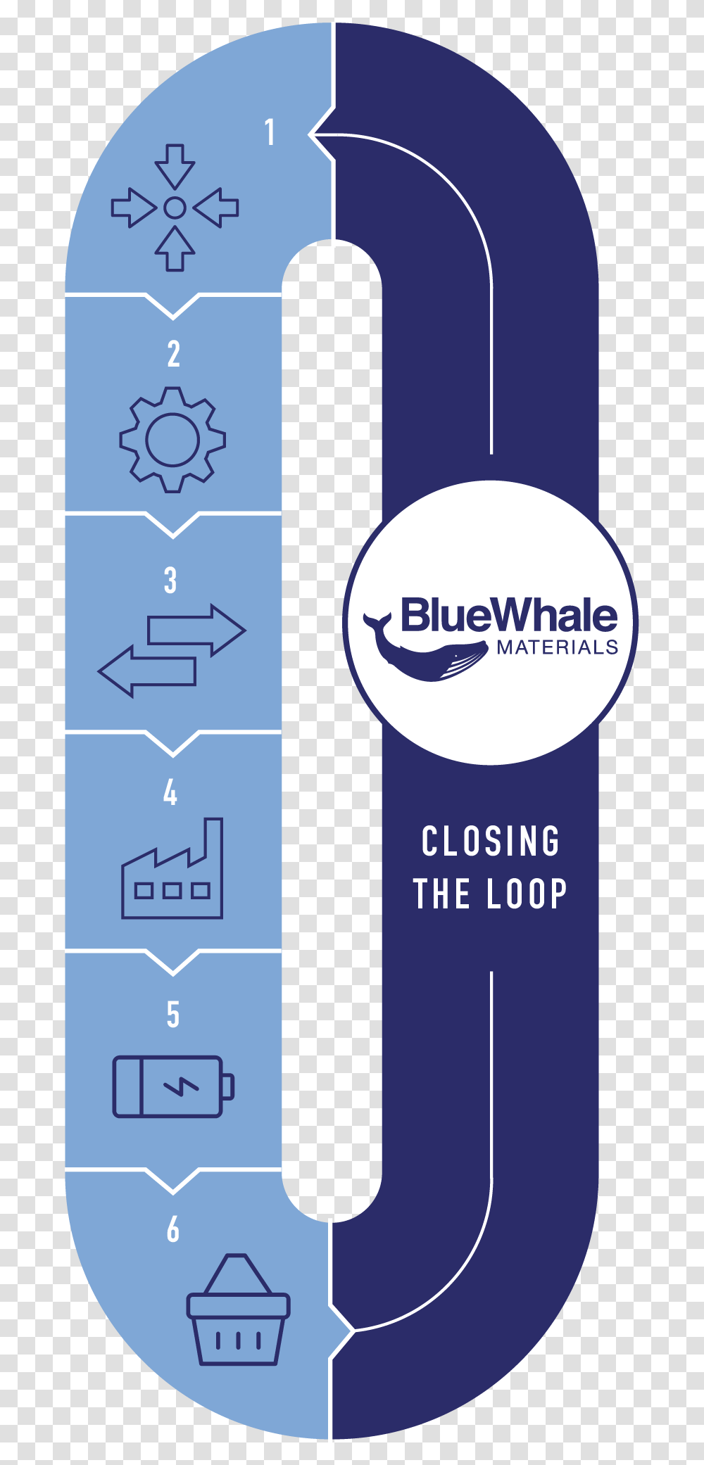 Bluewhale Assets, Paper, Advertisement, Poster Transparent Png