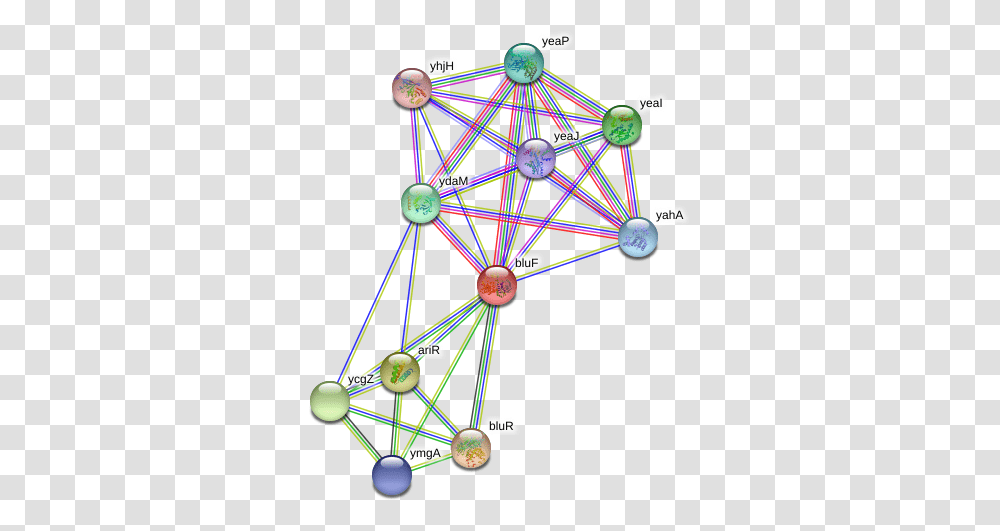 Bluf Protein Circle, Sphere, Network, Building, Architecture Transparent Png