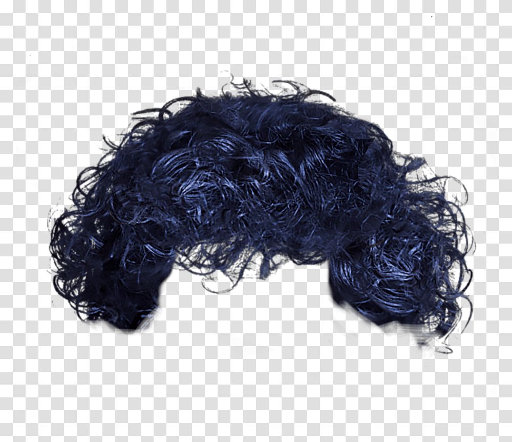 Bluish Cobaltblue Curlyhair Wig Curly Hair Lace Wig, Turtle, Reptile, Sea Life, Animal Transparent Png