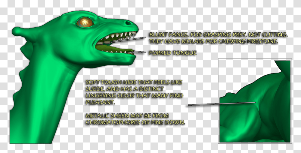 Blunt Meme Dragons Of Pern Eye, Blow Dryer, Animal, Reptile Transparent Png