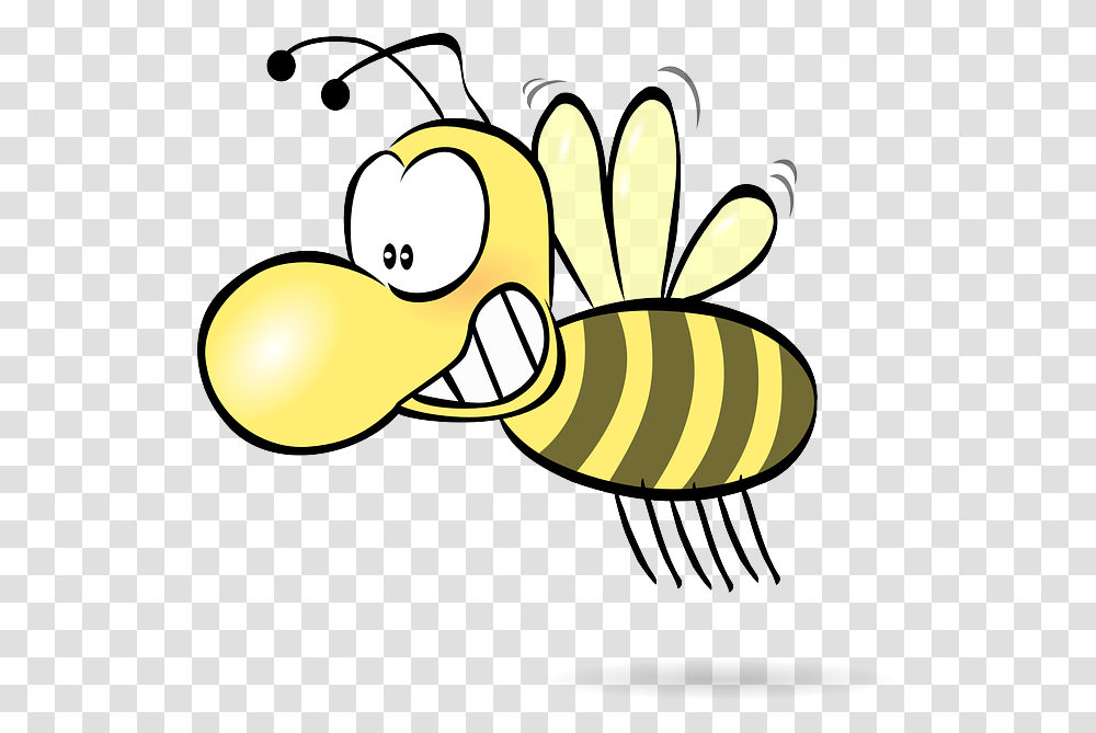 Blur Clipart Insect, Invertebrate, Animal, Honey Bee Transparent Png