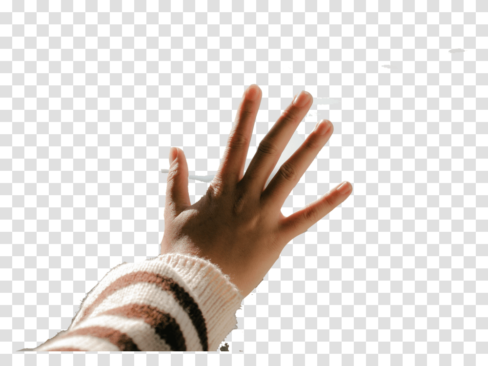Blur Closeupdepthoffield1123791compressed Free People In Nature, Finger, Person, Human, Hand Transparent Png