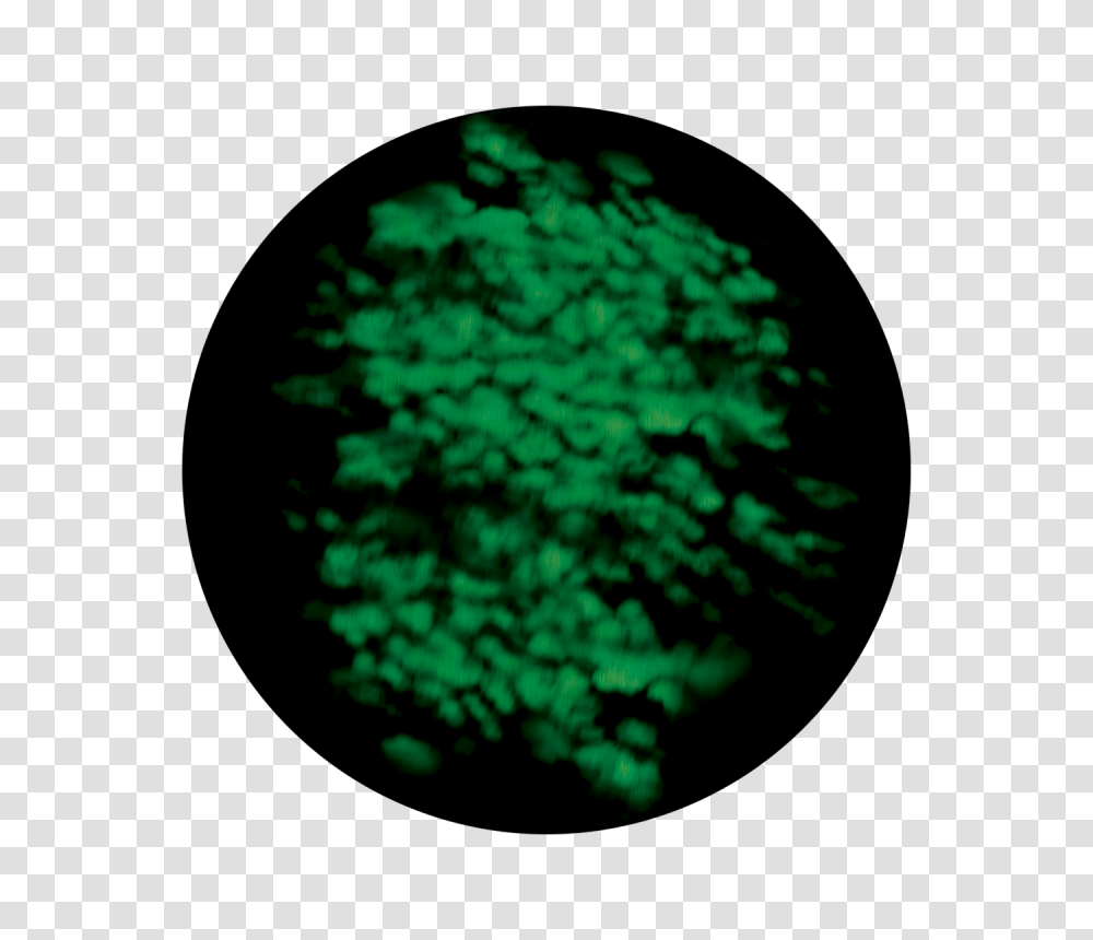 Blur Greens, Sphere, Plant, Bush, Vegetation Transparent Png