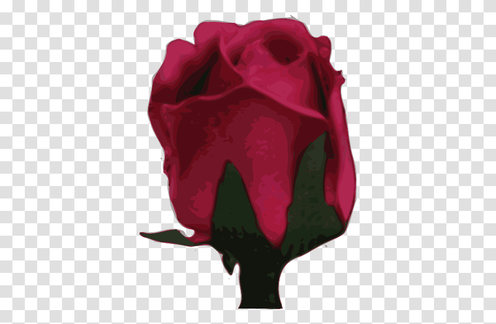 Blurred Pink Rose Clip Arts For Web, Plant, Flower, Blossom, Food Transparent Png