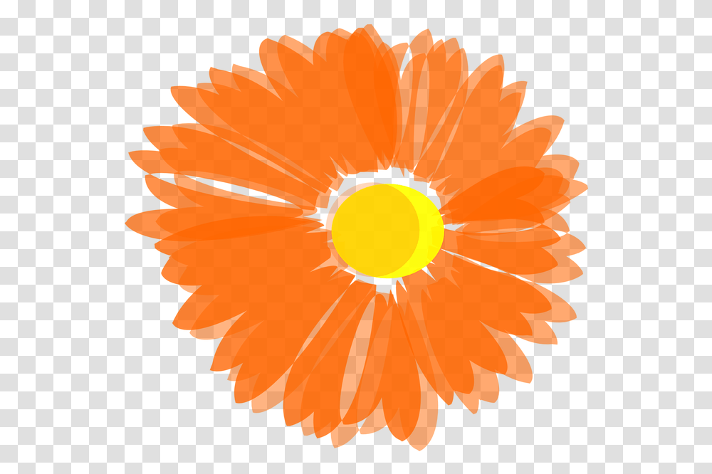 Blurry Orange Flower Svg Clip Arts Orange Flowers Clip Art, Plant, Blossom, Nature, Outdoors Transparent Png