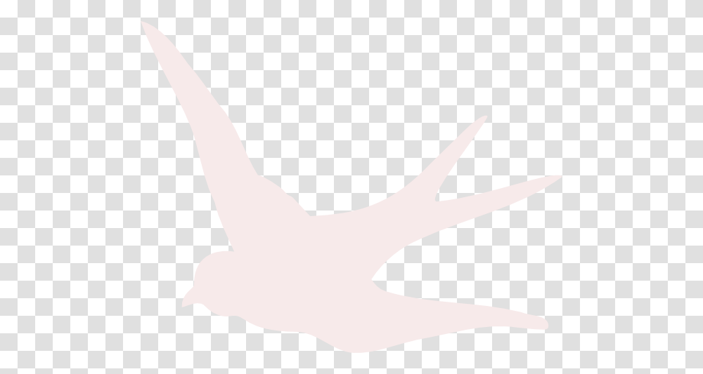 Blush Pink Swallow Clip Art, Bird, Animal, Finger, Arm Transparent Png