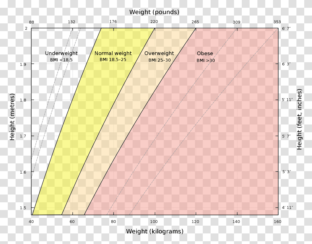 Bmi As A Function Of Height Graph, Page, Paper, Rug Transparent Png