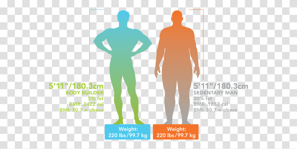 Bmi Bci Body Composition Fat, Sleeve, Long Sleeve, Poster Transparent Png