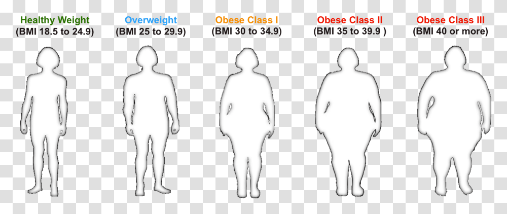 Bmi For Healthy To Obese Individuals Body Mass Index, Person, Plot, Shorts, Hand Transparent Png