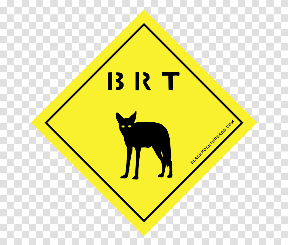 Bmx Sign, Road Sign, Cat, Pet Transparent Png