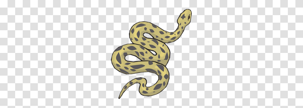 Boa Clipart Desert Snake, Reptile, Animal, Sea Snake, Sea Life Transparent Png