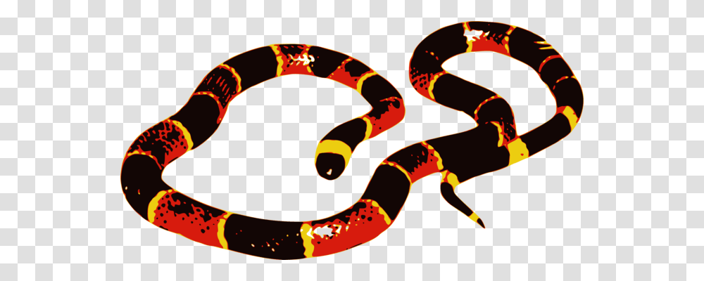 Boa Constrictor Snakes Reptile Tropidophis Melanurus Animal Free, King Snake, Sea Snake, Sea Life Transparent Png