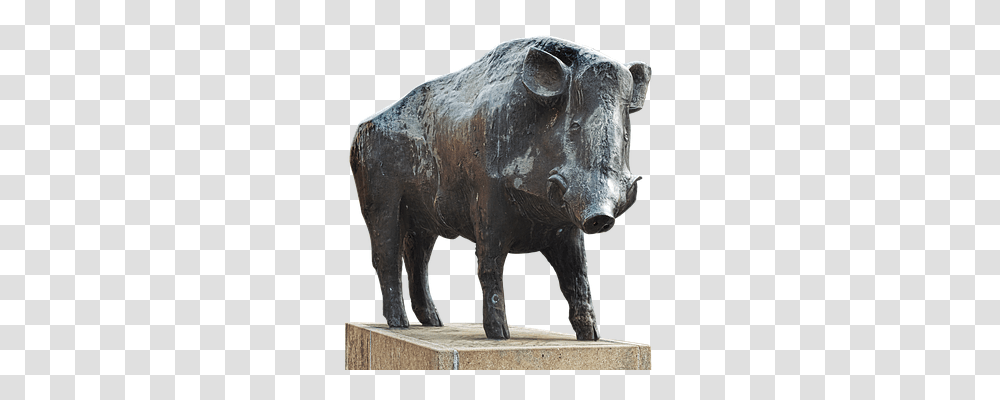 Boar Tool, Bronze, Bull, Mammal Transparent Png