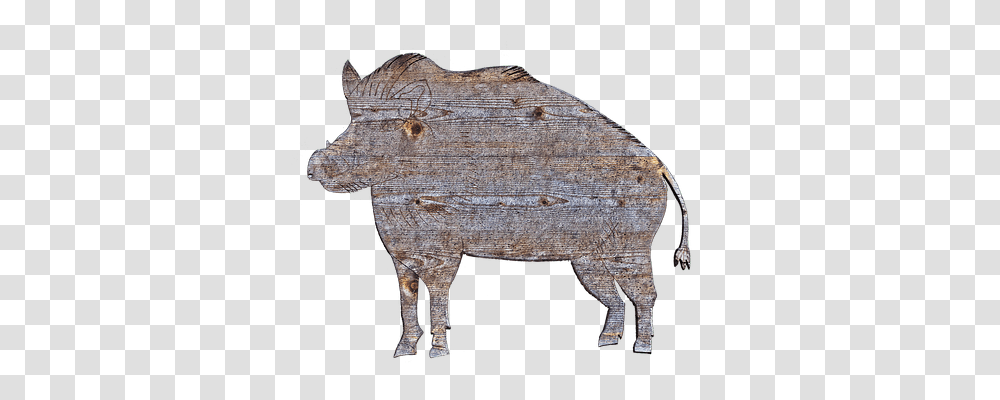 Boar Tool, Pig, Mammal, Animal Transparent Png
