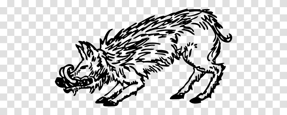 Boar Nature, Gray, World Of Warcraft Transparent Png
