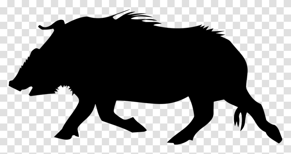 Boar, Animals, Gray, World Of Warcraft Transparent Png