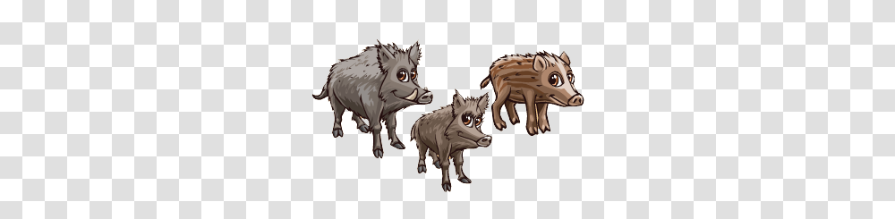 Boar, Animals, Hog, Pig, Mammal Transparent Png