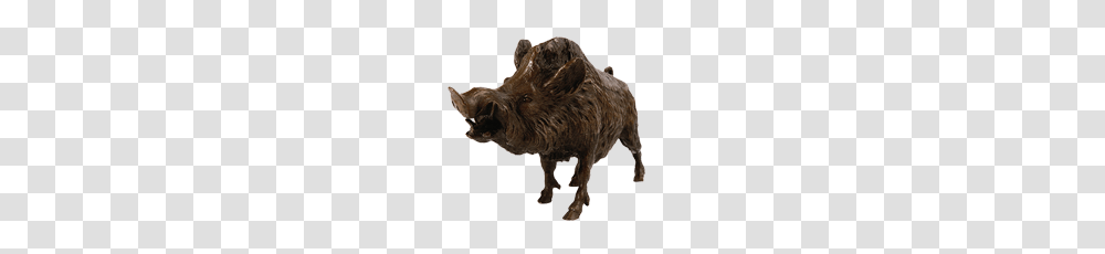 Boar, Animals, Hog, Pig, Mammal Transparent Png