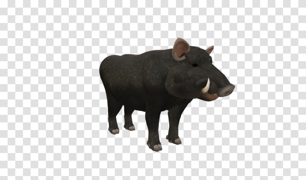 Boar, Animals, Mammal, Wildlife, Pig Transparent Png