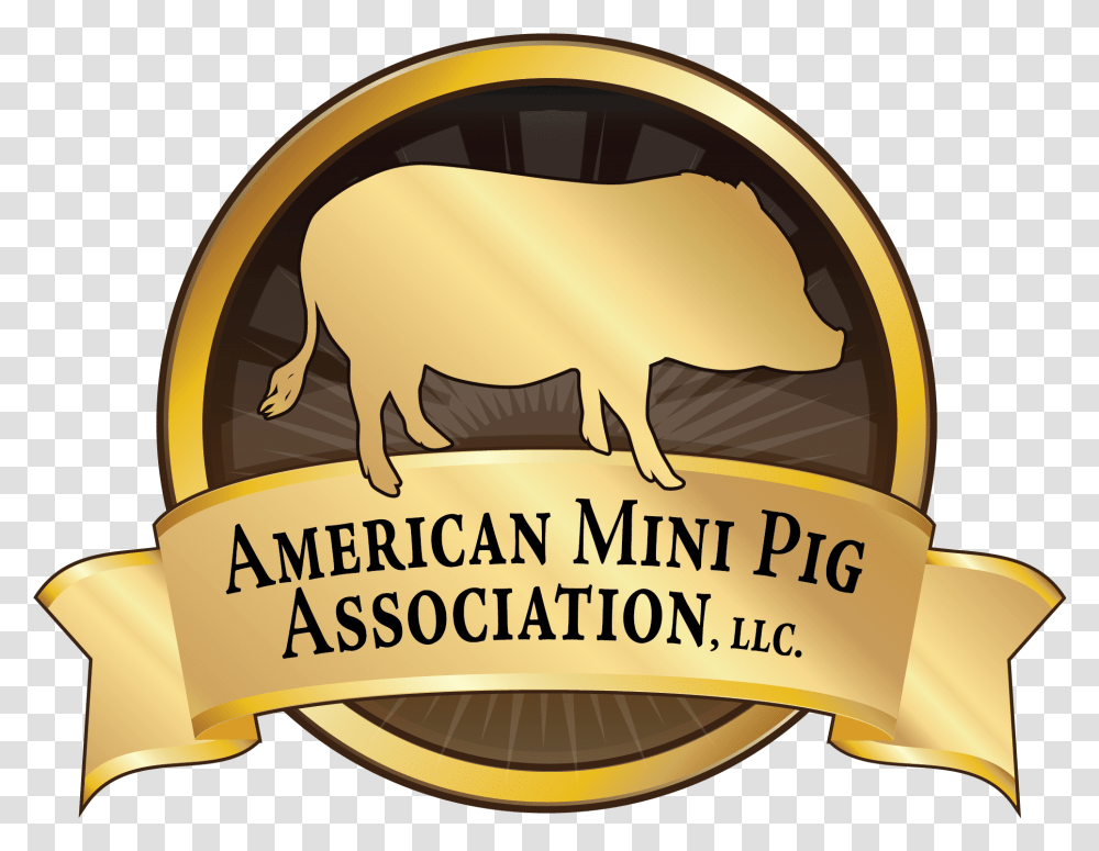 Boar Hog Vector Angry Pig Baby Mini Pig Logo De Cerdito Con Olla, Animal, Symbol, Mammal, Helmet Transparent Png