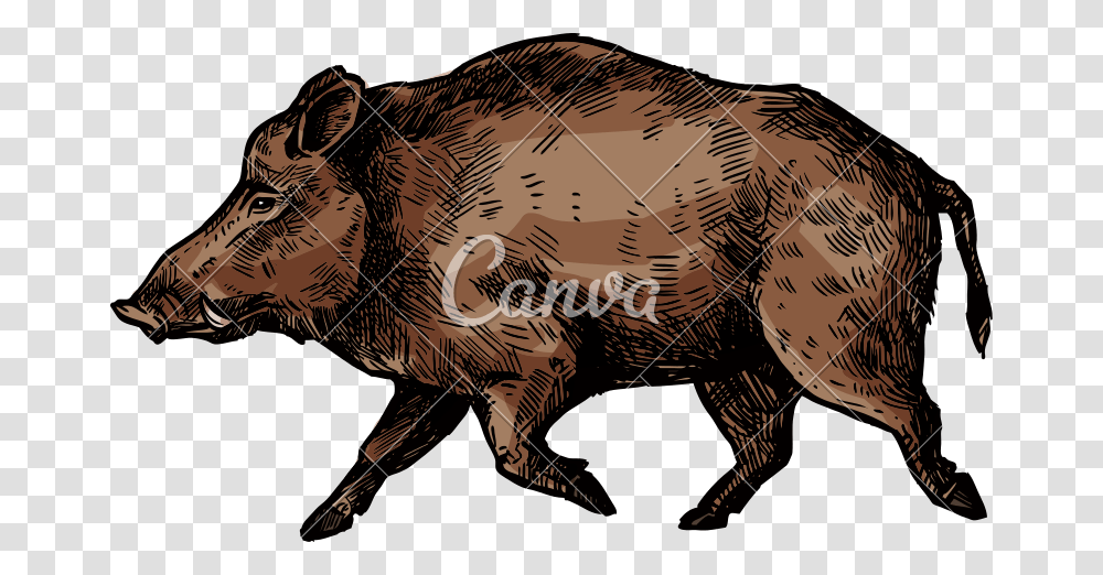 Boar Pig Or Hog Wild Animal, Wildlife, Mammal, Panther, Jaguar Transparent Png