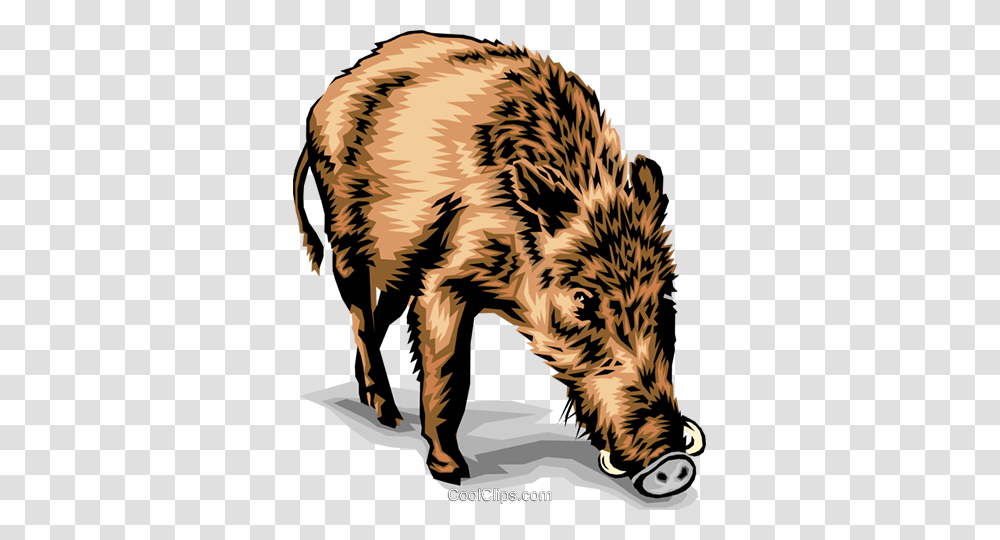 Boar Royalty Free Vector Clip Art Illustration, Hog, Pig, Mammal, Animal Transparent Png