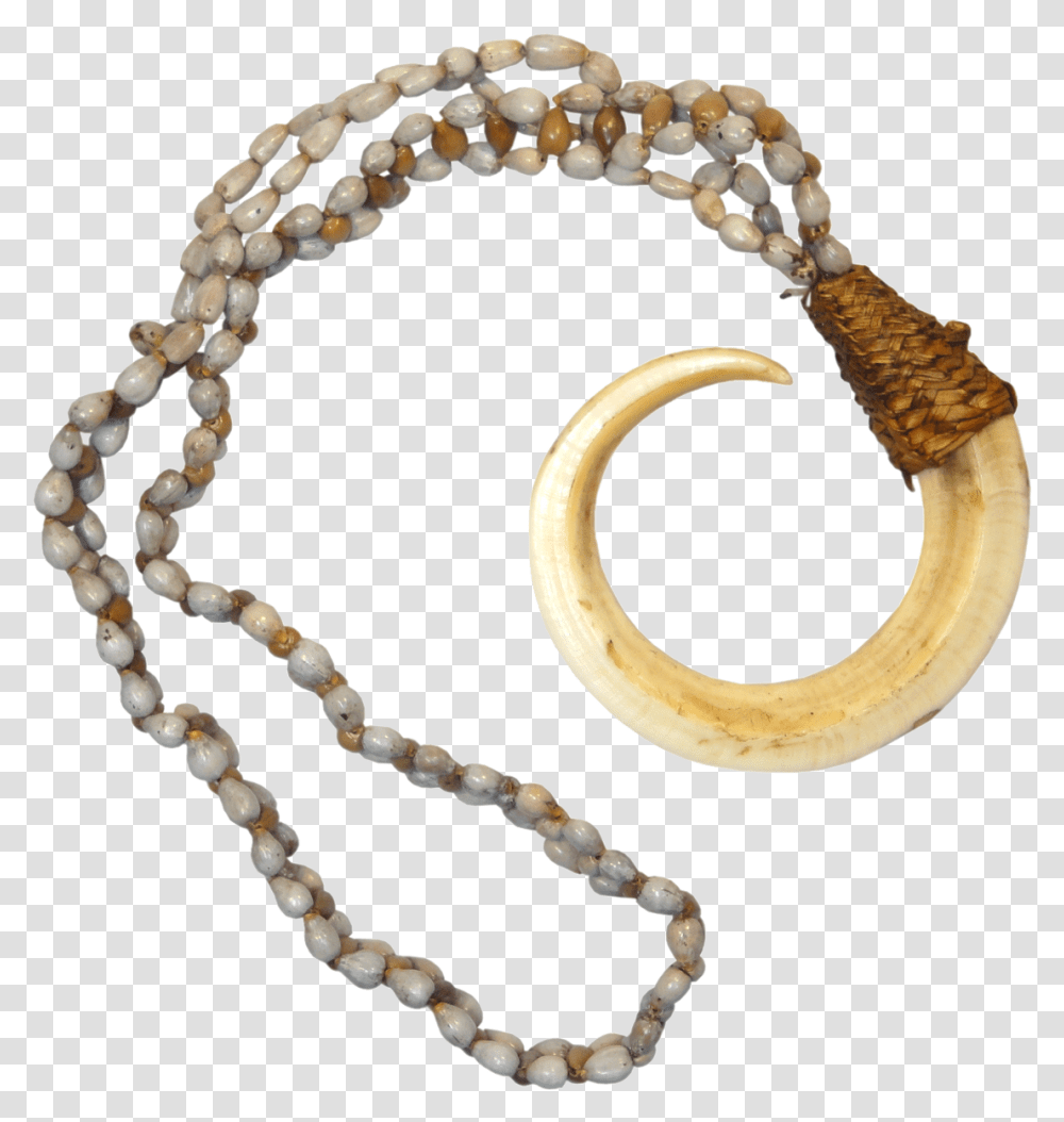 Boar Tusk Necklace, Bracelet, Jewelry, Accessories, Accessory Transparent Png