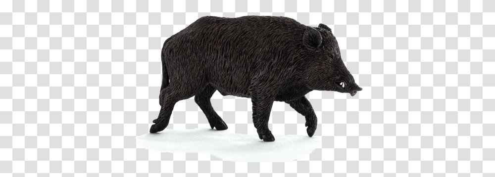 Boar Wild Boar, Pig, Mammal, Animal, Hog Transparent Png