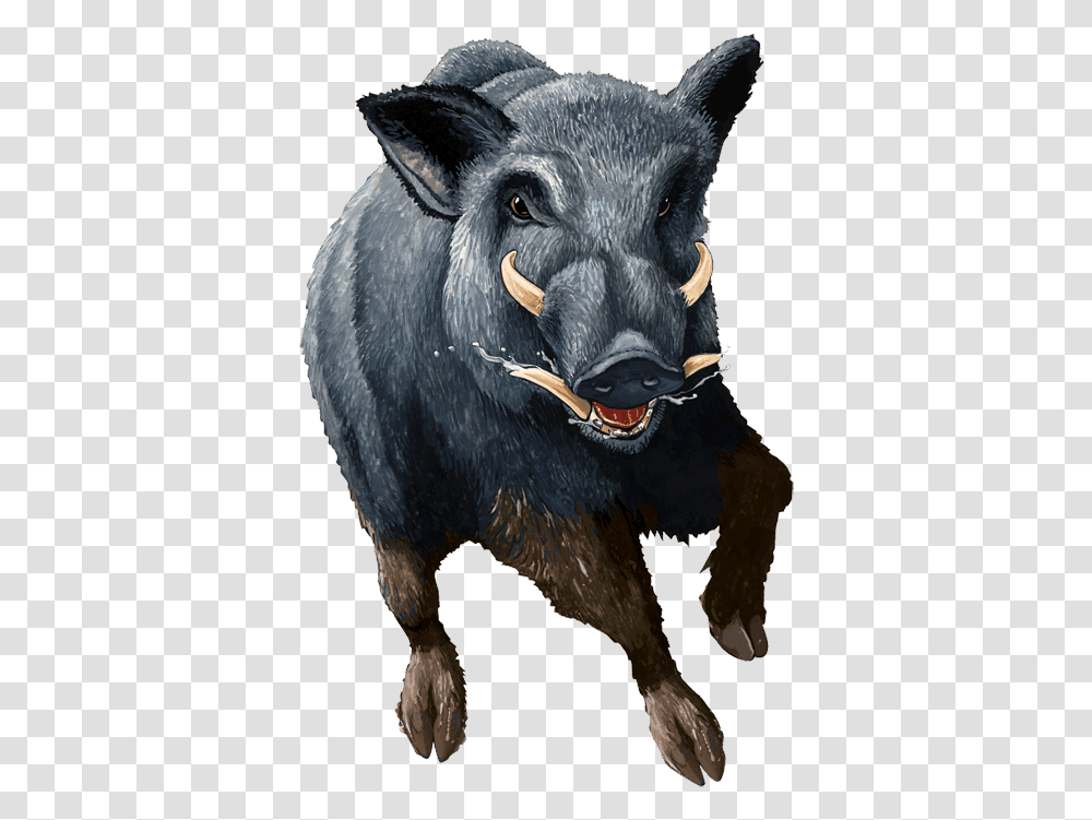 Boar Wild Hog Background, Pig, Mammal, Animal, Cow Transparent Png