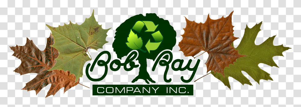 Bob Ray Co Truck Tree Oak Leaf, Plant, Recycling Symbol, Green, Painting Transparent Png