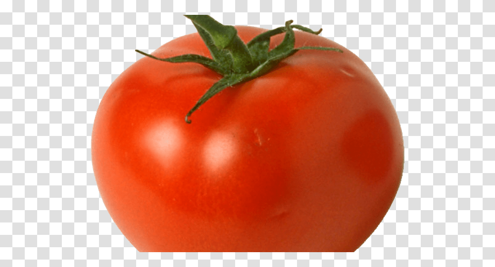 Bob The Tomato Red Tomato, Plant, Vegetable, Food Transparent Png