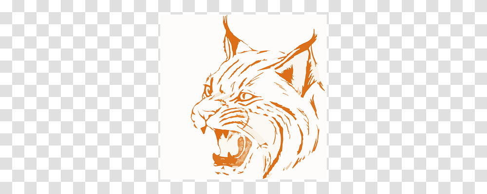 Bobcat Mammal, Animal, Pineapple, Pet Transparent Png