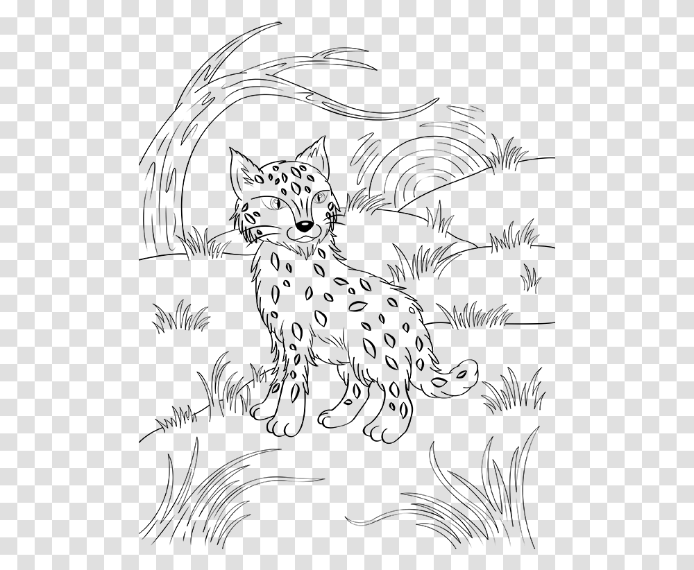 Bobcat Coloring Pages, Astronomy, Outer Space, Universe, Outdoors ...