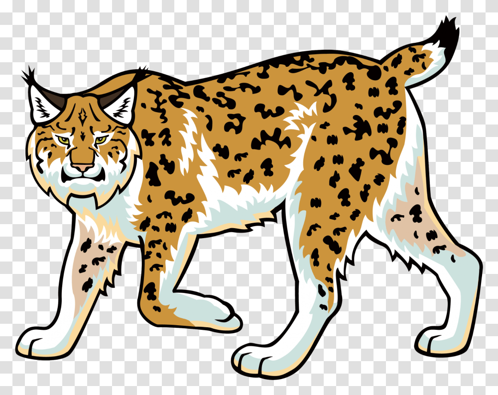 Bobcat Heavy Equipment Clip Art Bobcat Clipart Background, Cheetah, Wildlife, Mammal, Animal Transparent Png