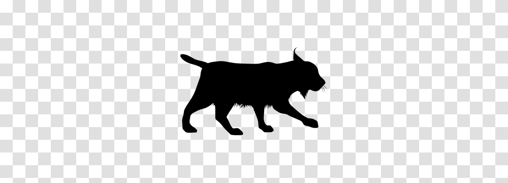 Bobcat Stalking Sticker, Silhouette, Dog, Pet, Canine Transparent Png